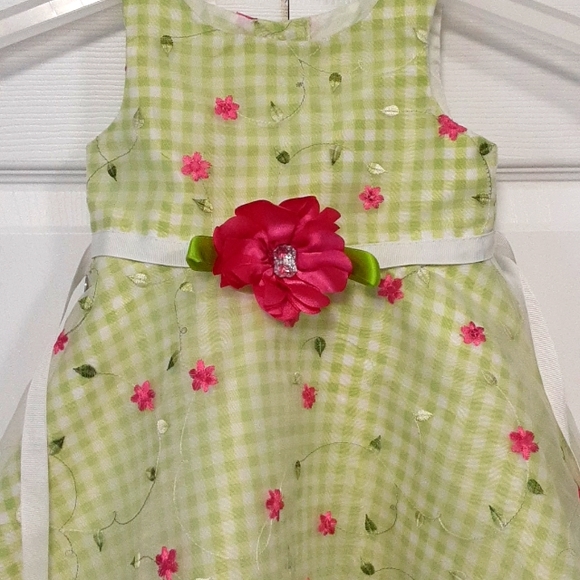 Sweet Heart Rose Toddler Dress - Picture 2 of 10